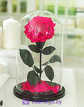 Ярко-розовая роза в колбе 32 см, Magenta Vip