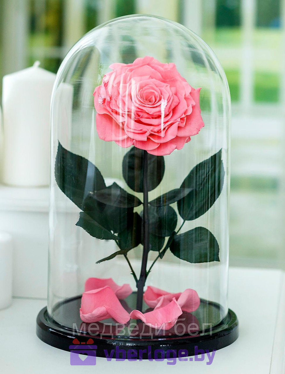 Нежно-розовая роза в колбе 32 см, Pretty Pink Vip - фото 1 - id-p78141827