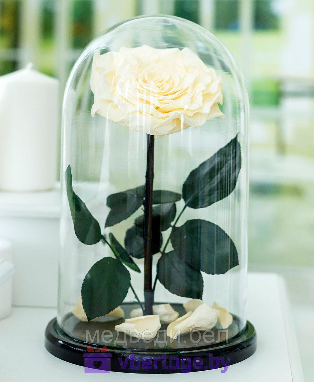 Роза в колбе цвета шампань 32 см, Shampan Vip - фото 1 - id-p78141828