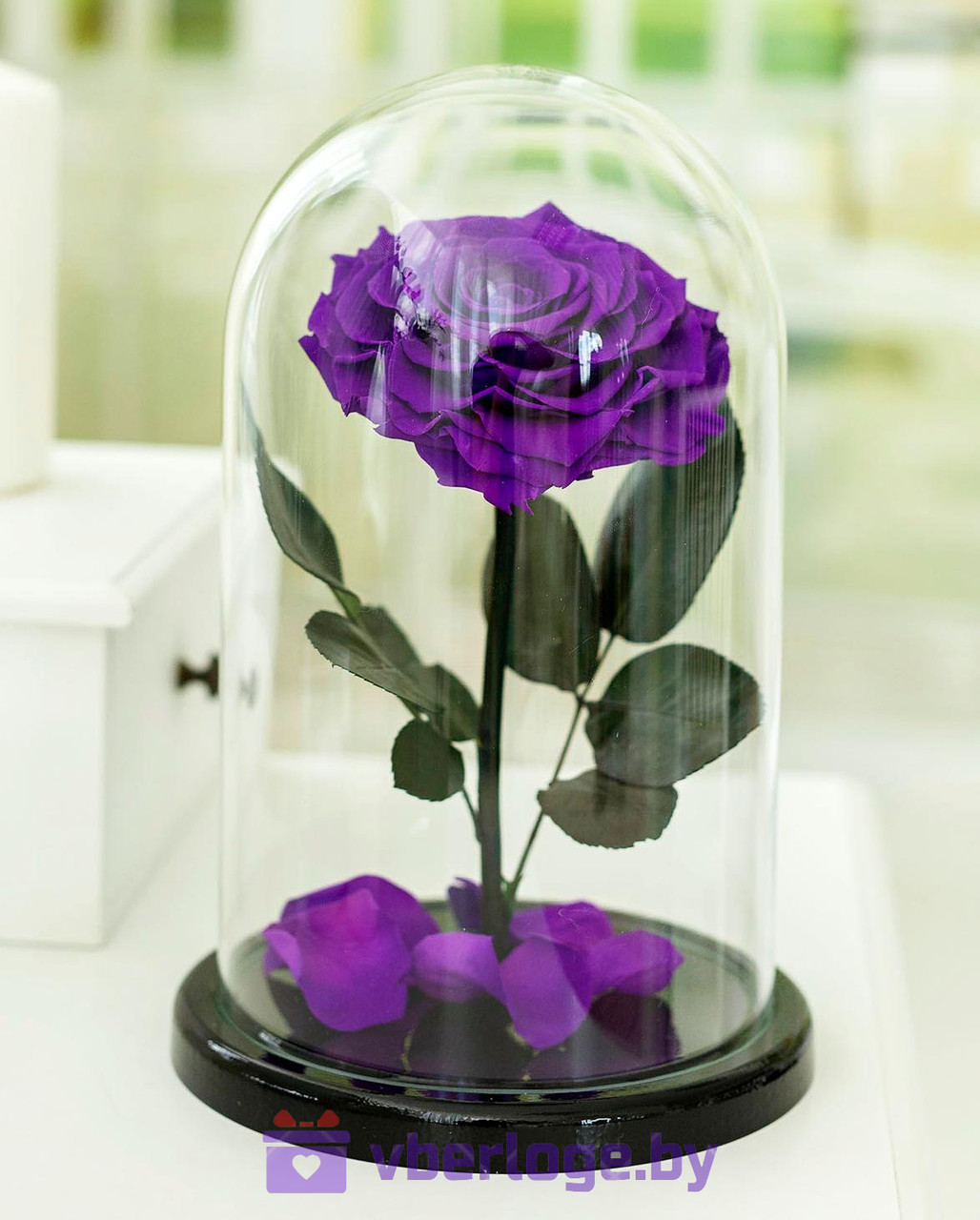 Фиолетовая роза в колбе 32 см, Dark Violett Vip - фото 1 - id-p78141829
