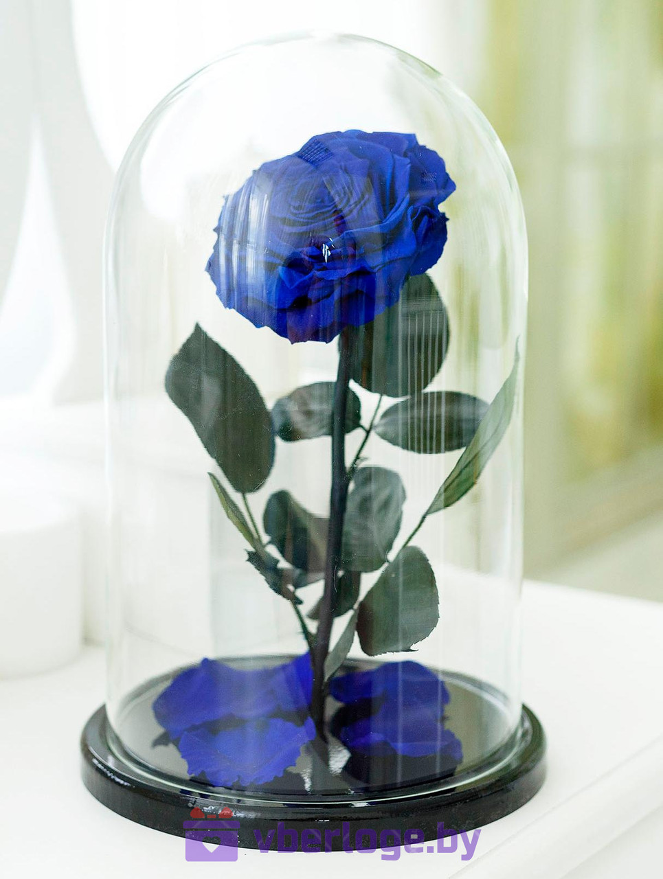 Синяя роза в колбе 32 см, Royal Blue Vip - фото 1 - id-p78141830