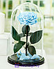 Голубая роза в колбе 32 см, Royal Blue Vip