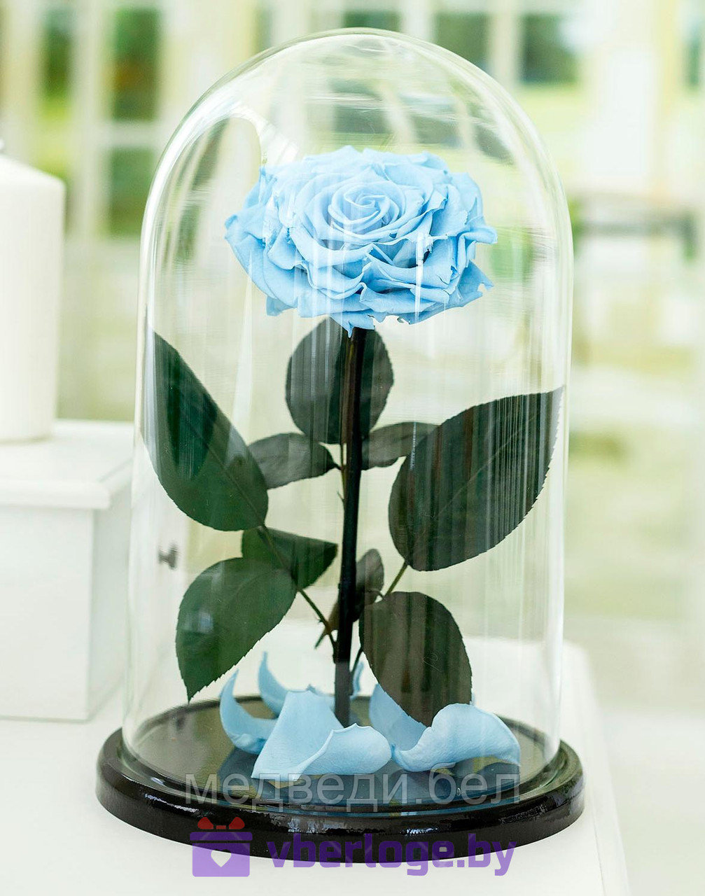 Голубая роза в колбе 32 см, Royal Blue Vip - фото 1 - id-p78141831
