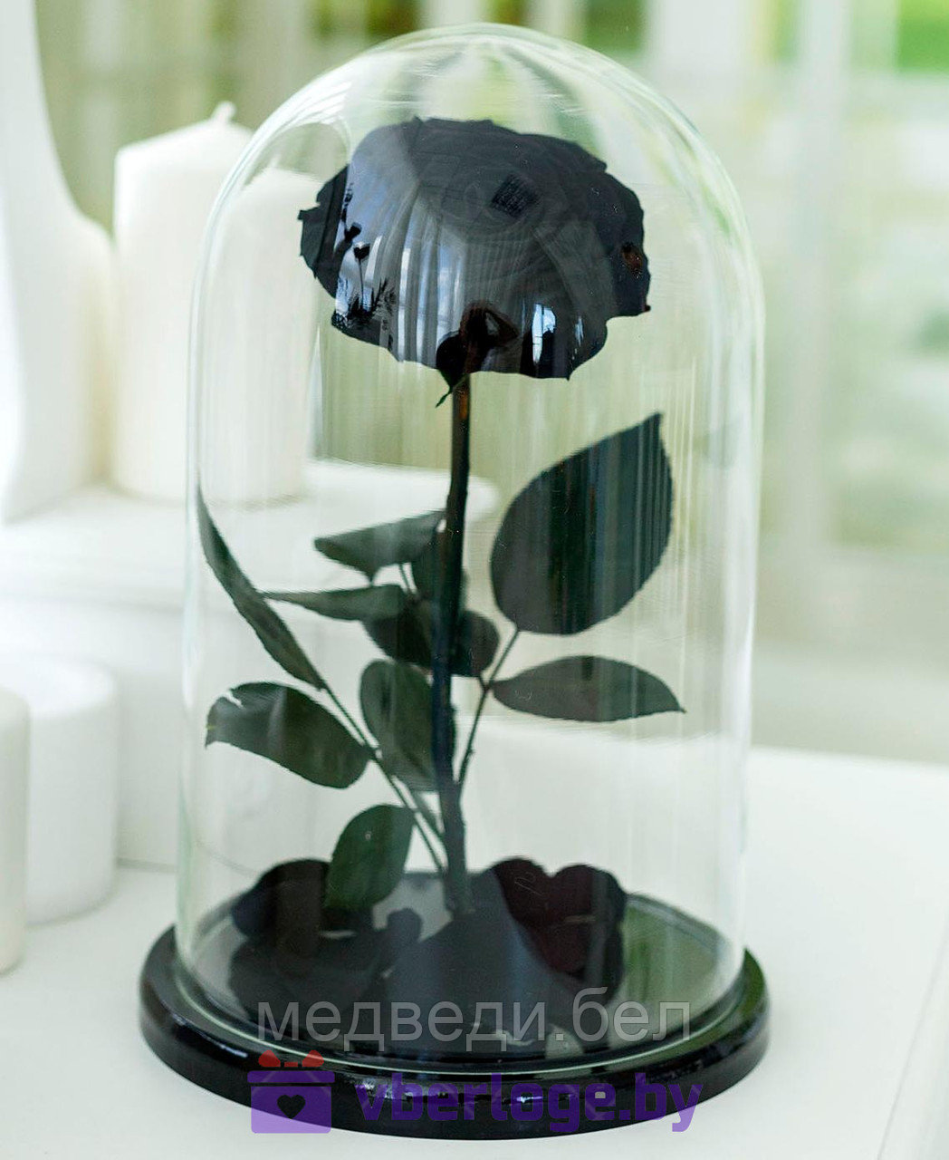 Черная роза в колбе 32 см, Noir Sable Vip