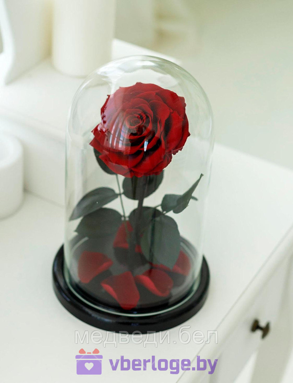 Алая роза в колбе 28 см, Maroon King - фото 1 - id-p78141836