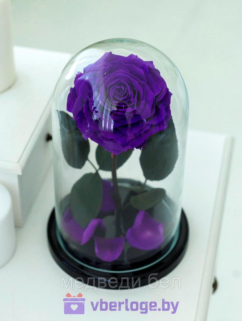 Фиолетовая роза в колбе 28 см, Dark Violett King - фото 1 - id-p78141838