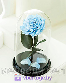 Гоубая роза в колбе 28 см, Baby Blue King