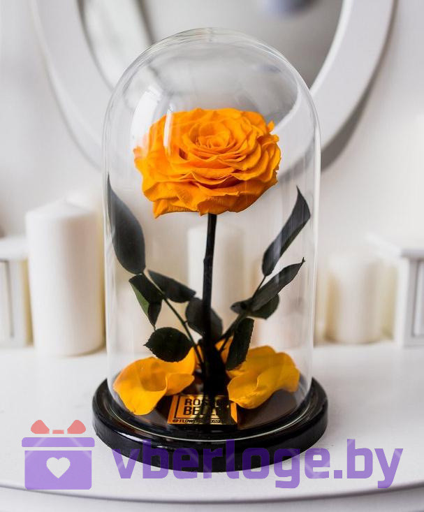 Оранжевая роза в колбе 28 см, Light Orange King - фото 1 - id-p78141843