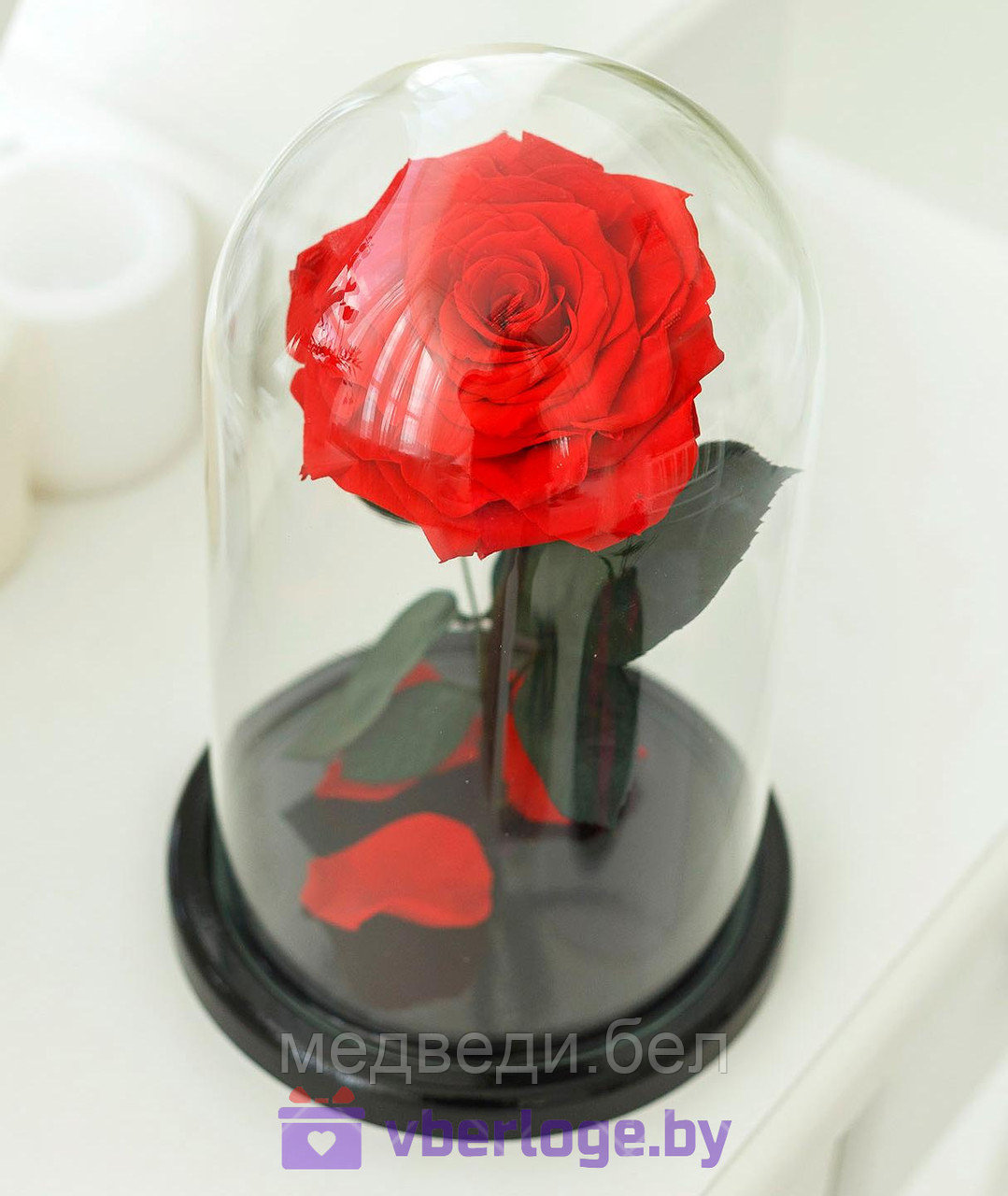 Красная роза в колбе 28 см, Romantic Red King - фото 1 - id-p78141844