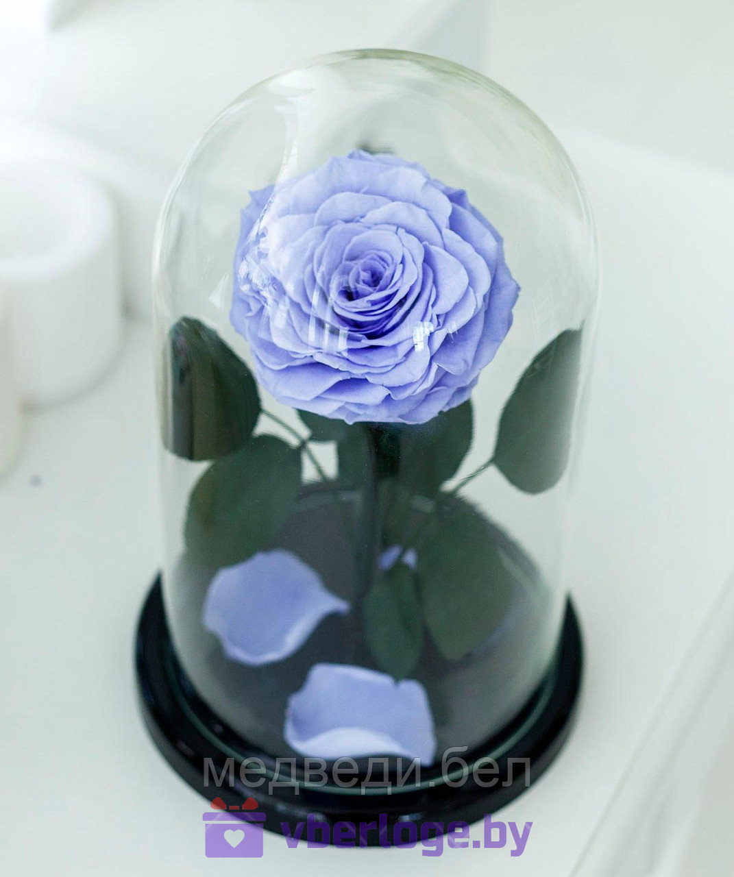 Сиреневая роза в колбе 28 см, Lilac King - фото 1 - id-p78141845