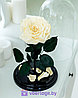 Роза в колбе цвета шампань 28 см, Shampan King