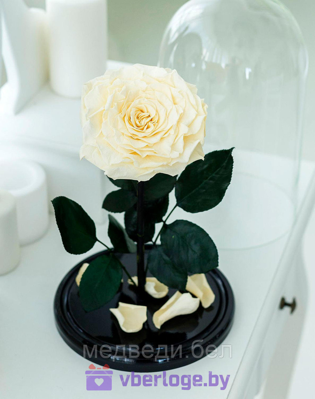 Роза в колбе цвета шампань 28 см, Shampan King - фото 1 - id-p78141847