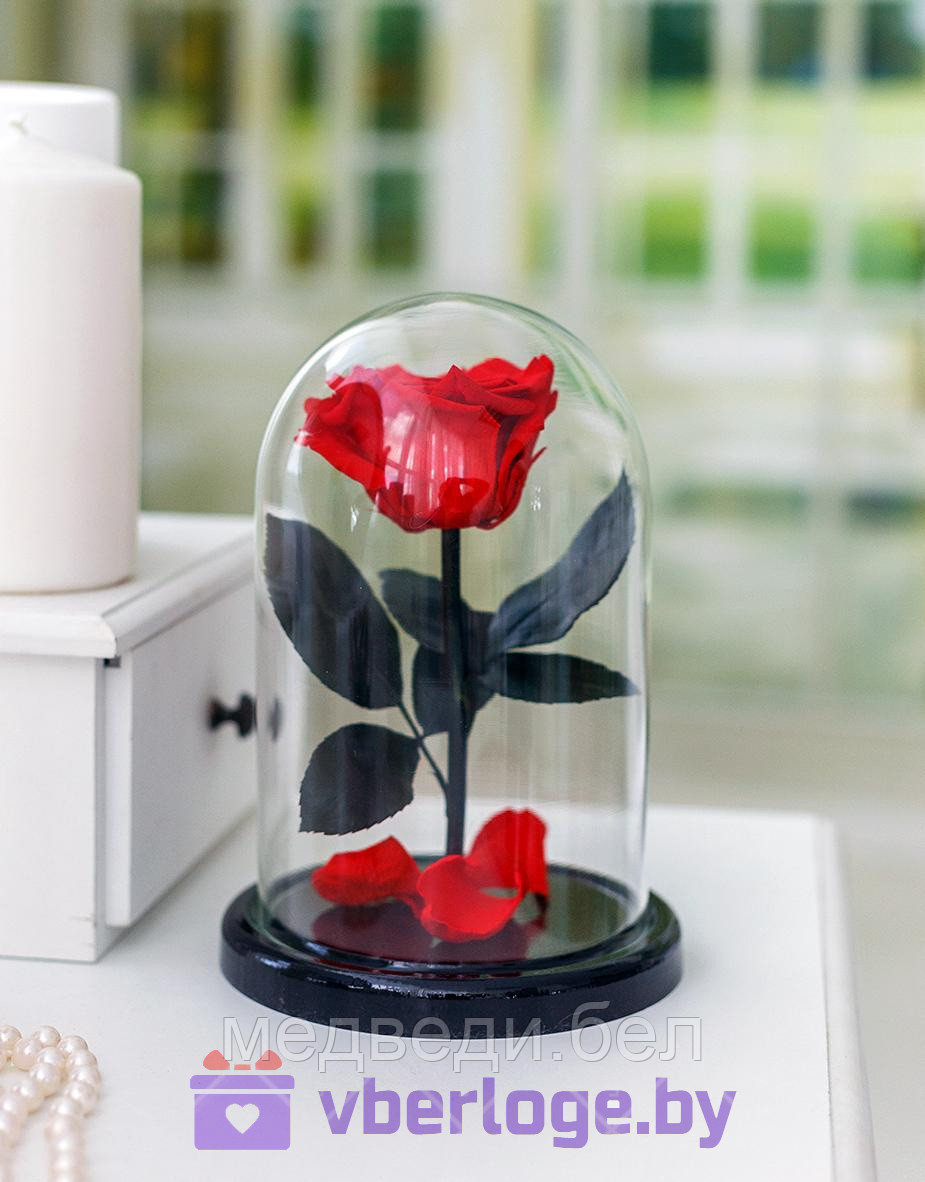 Алая роза в колбе 22 см, Maroon Mini - фото 1 - id-p78141854
