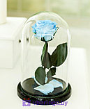 Голубая роза в колбе 22 см, Baby Blue Mini, фото 4