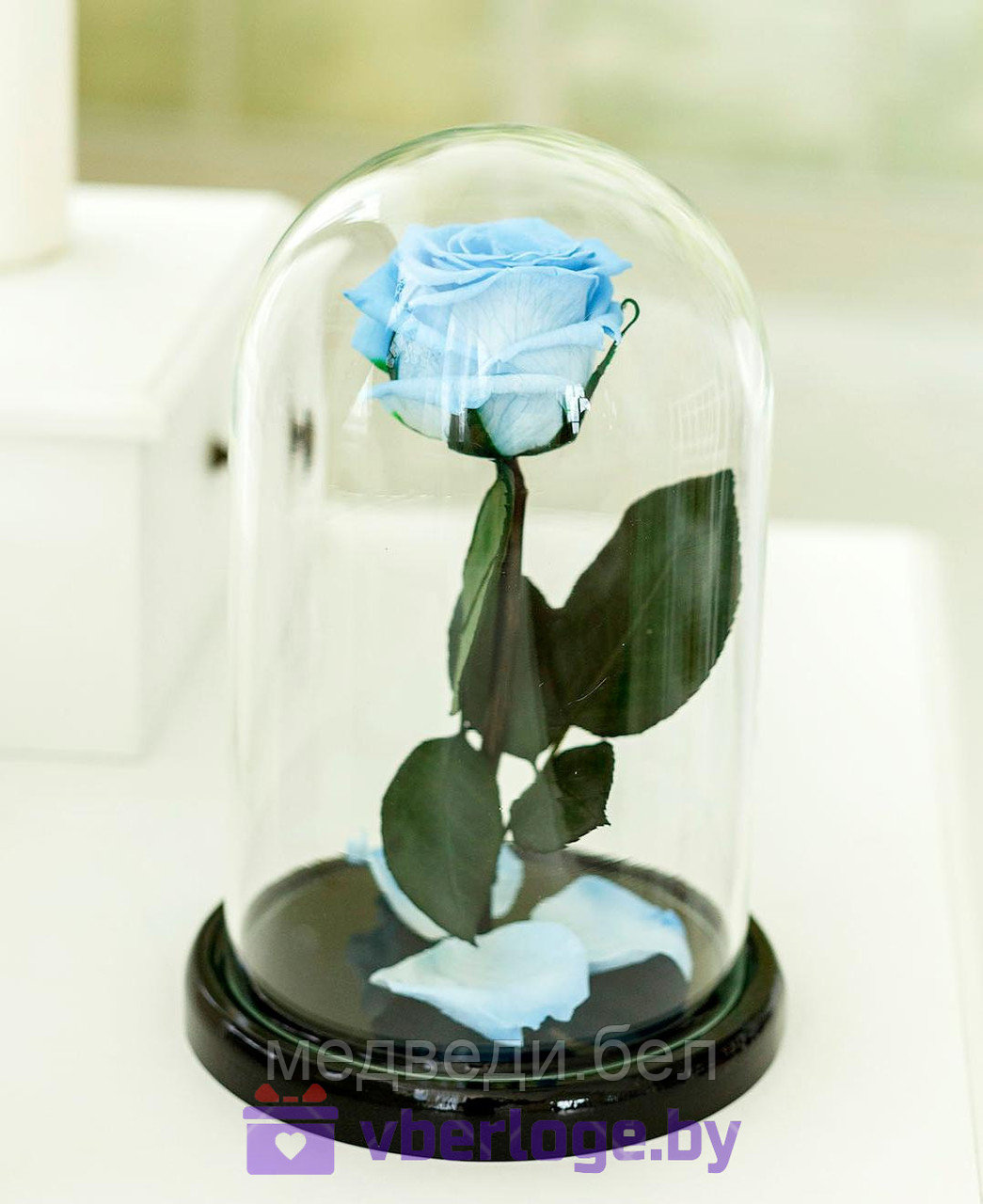 Голубая роза в колбе 22 см, Baby Blue Mini - фото 1 - id-p78141855