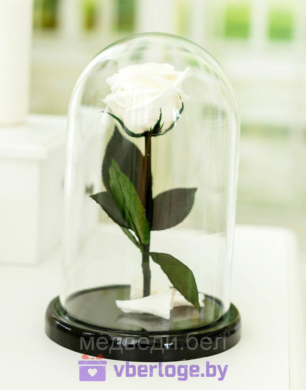 Белая вечная роза 22 см, White Pearl Mini