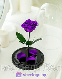 Фиолетовая вечная роза 22 см, Dark Violett Mini