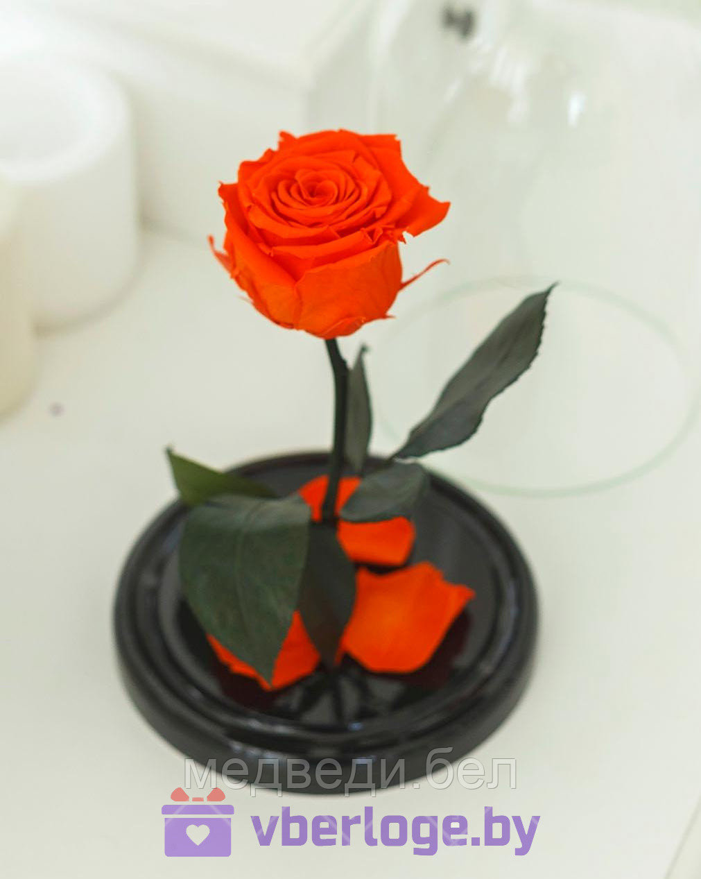 Оранжевая вечная роза 22 см, Light Orange Mini