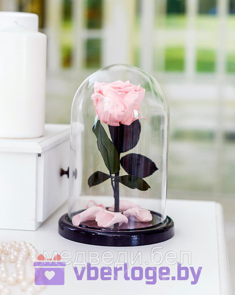 Нежно-розовая роза в колбе 22 см, Pretty Pink Mini