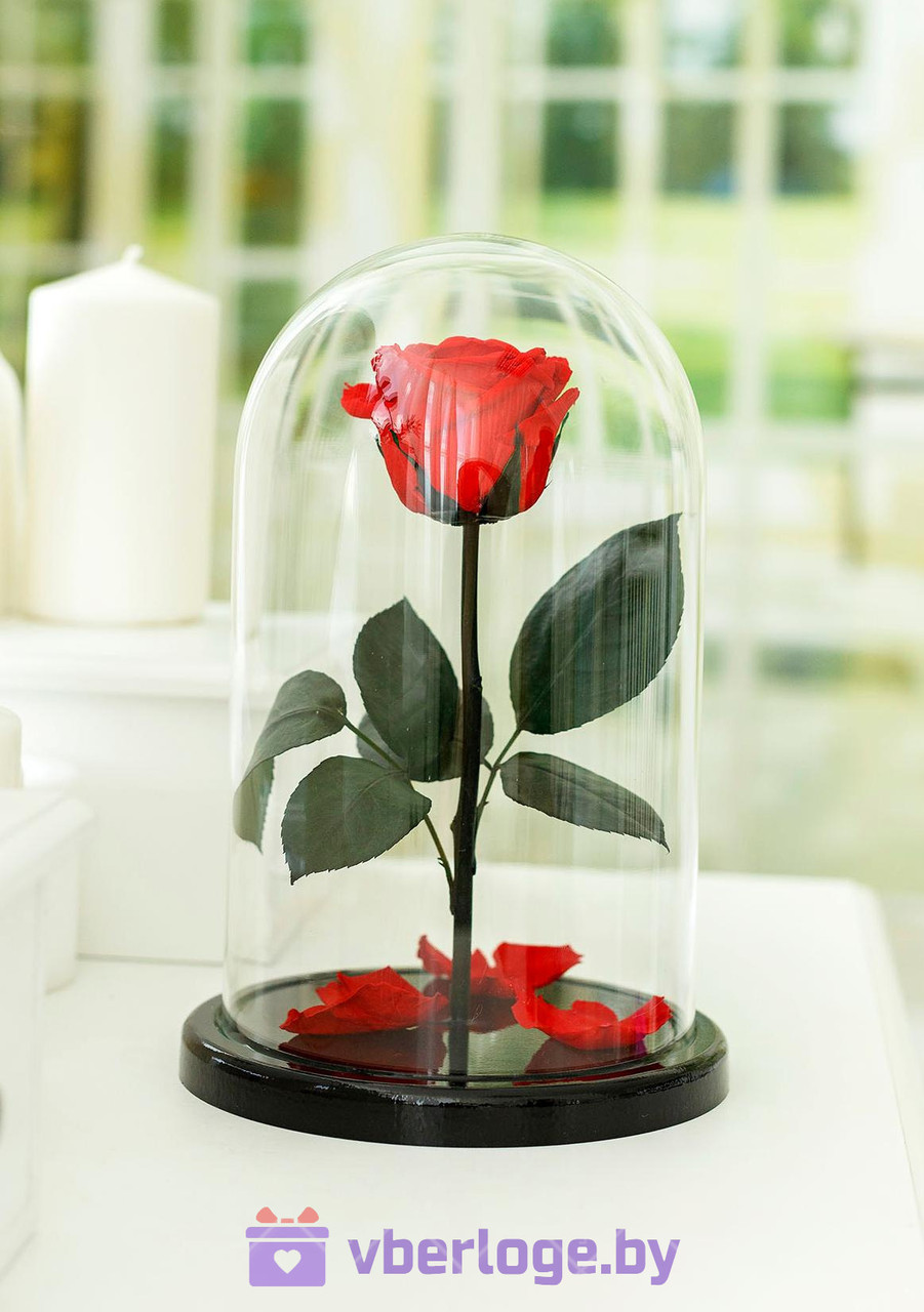 Роза в колбе 28 см, Romantic Red Elegant - фото 1 - id-p80861136