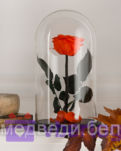 Роза в колбе 28 см, Light Orange Elegant - фото 1 - id-p80861139