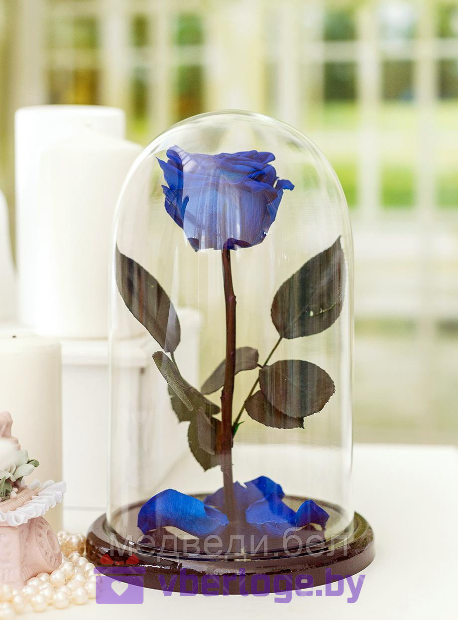 Роза в колбе 28 см, Royal Blue Elegant - фото 1 - id-p80861141