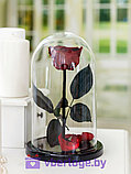 Роза в колбе 28 см, Maroon Elegant, фото 4