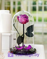 Роза в колбе 28 см, Dark Violett Elegant