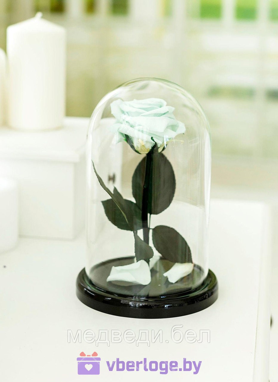 Роза в колбе 28 см, Mint Elegant - фото 1 - id-p80861145