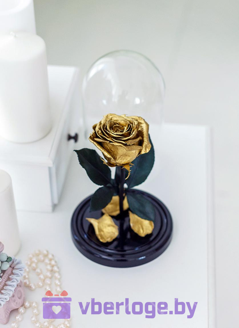 Золотая роза в колбе 22 см, Gold Edition - фото 1 - id-p86725162
