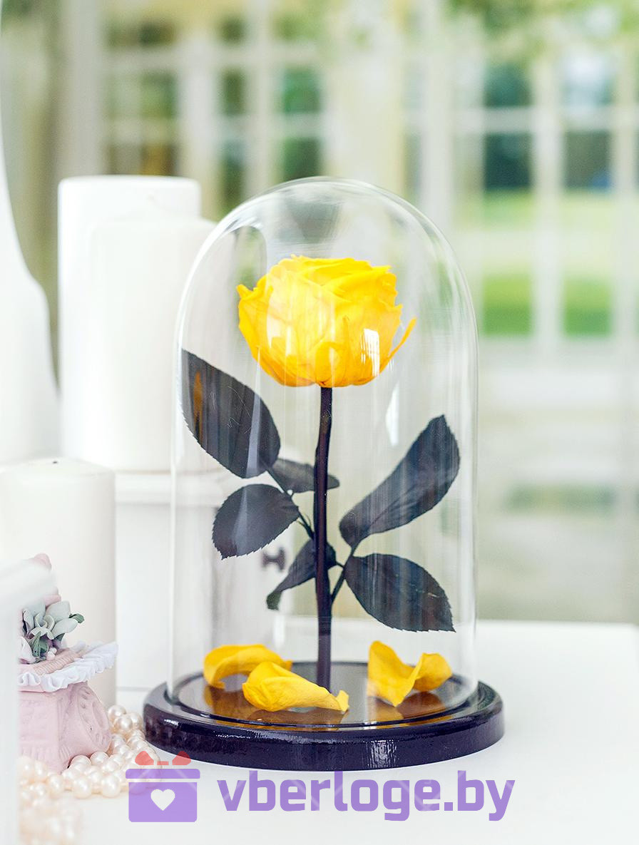 Желтая роза в колбе 22 см, Sunny Mini - фото 1 - id-p86725163
