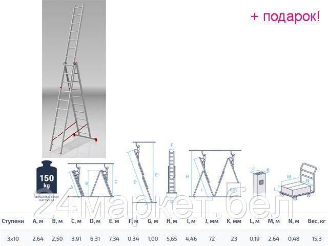 PRO STARTUL Россия Лестница алюм. 3-х секц. 250/631/264см 3х10 ступ., 15,3кг PRO STARTUL (ST9942-10)