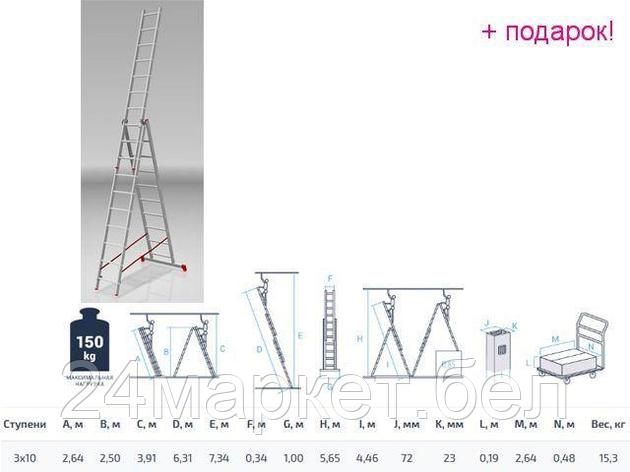 PRO STARTUL Россия Лестница алюм. 3-х секц. 250/631/264см 3х10 ступ., 15,3кг PRO STARTUL (ST9942-10), фото 2