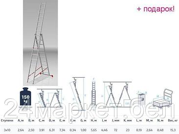 PRO STARTUL Россия Лестница алюм. 3-х секц. 250/631/264см 3х10 ступ., 15,3кг PRO STARTUL (ST9942-10)