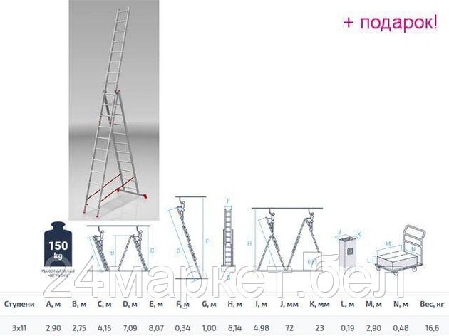 PRO STARTUL Россия Лестница алюм. 3-х секц. 275/709/290см 3х11 ступ., 16,6кг PRO STARTUL (ST9942-11), фото 2