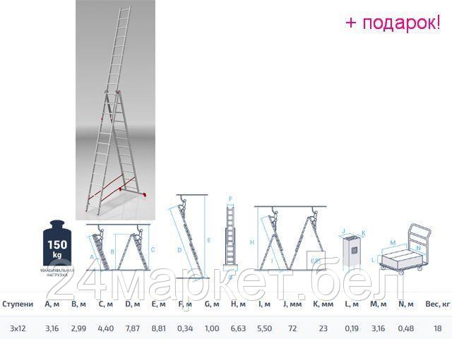 PRO STARTUL Россия Лестница алюм. 3-х секц. 299/787/316см 3х12 ступ., 18,0кг PRO STARTUL (ST9942-12)