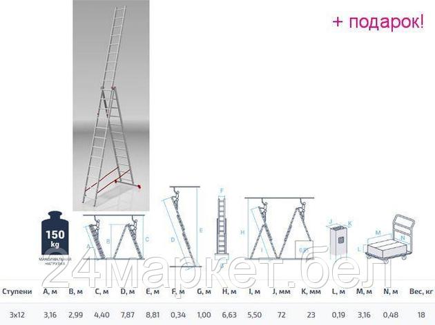 PRO STARTUL Россия Лестница алюм. 3-х секц. 299/787/316см 3х12 ступ., 18,0кг PRO STARTUL (ST9942-12), фото 2