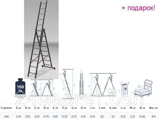 PRO STARTUL Россия Лестница алюм. 3-х секц. 201/474/214см 3х8 ступ., 9,9кг PRO STARTUL (ST9944-08), фото 2