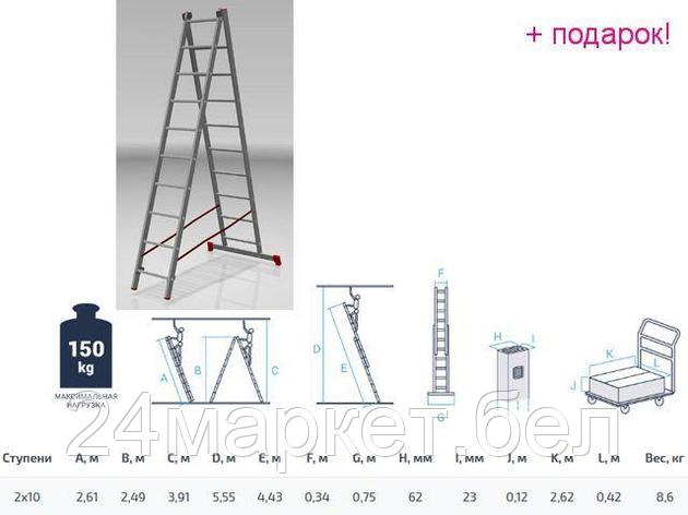 PRO STARTUL Россия Лестница алюм. 2-х секц. 249/443см 2х10 ступ., 8,6кг PRO STARTUL (ST9946-10), фото 2