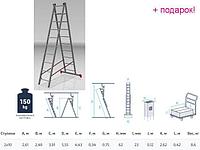 PRO STARTUL Россия Лестница алюм. 2-х секц. 249/443см 2х10 ступ., 8,6кг PRO STARTUL (ST9946-10)