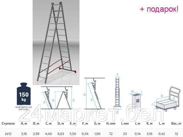 PRO STARTUL Россия Лестница алюм. 2-х секц. 299/550см 2х12 ступ., 12,0кг PRO STARTUL (ST9946-12)