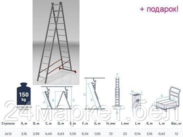 PRO STARTUL Россия Лестница алюм. 2-х секц. 299/550см 2х12 ступ., 12,0кг PRO STARTUL (ST9946-12)