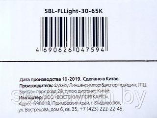 Прожектор LED FL SMD LIGHT Smartbuy-30W/6500K/IP65 - фото 5 - id-p30631522