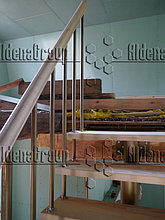 Модульная лестница (каркас золото, сосна не крашеная) 31