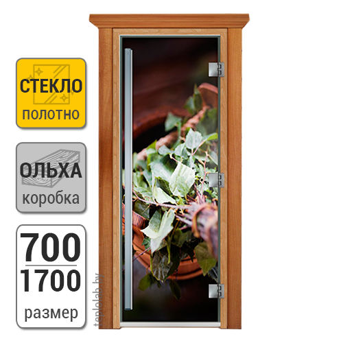 Дверь для бани стеклянная DoorWood Престиж, с фотопечатью, 700x1700