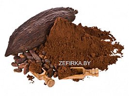 Какао-порошок алкализованный, 22-24%