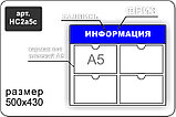 Стенд информационный на 4 кармана А5, фото 5