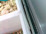Контейнер для замороженный продуктов, фото 4
