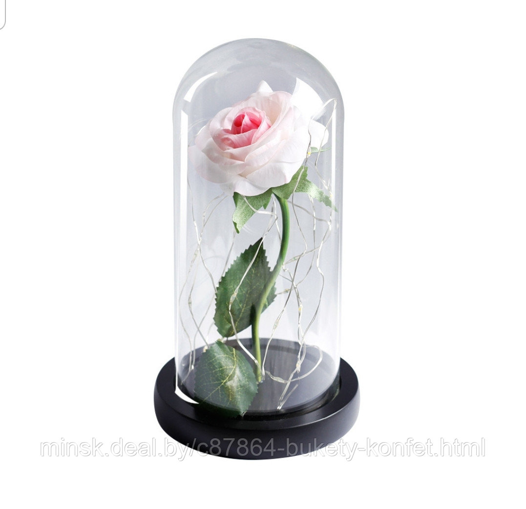 Роза в колбе с подсветкой (бело-розовая)