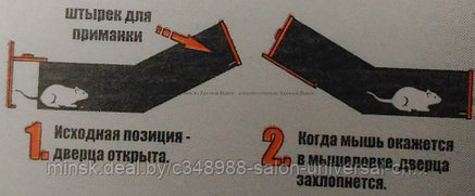 Мышеловка цветная пластиковая Мышкин дом, фото 2
